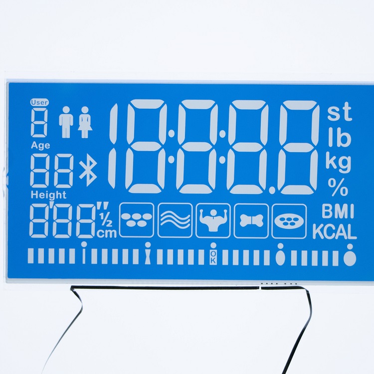 TN貼藍色片段碼屏